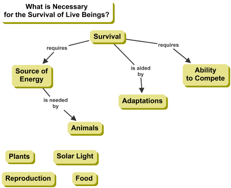 Cmap on What is Necessary for the Survival of Live Beings?