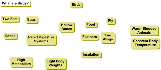 Initial Ranking of Concepts for a Concpet Map about Birds