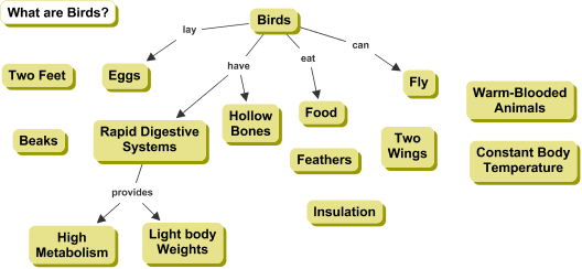 Partial Cmap about Birds