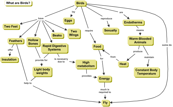 Cmap on Birds